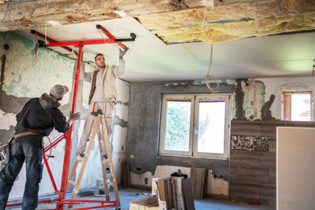 Best Insulation Removal  in Fort Carson, CO