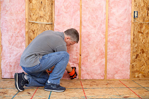 Best Insulation Contractor Near Me  in Fort Carson, CO